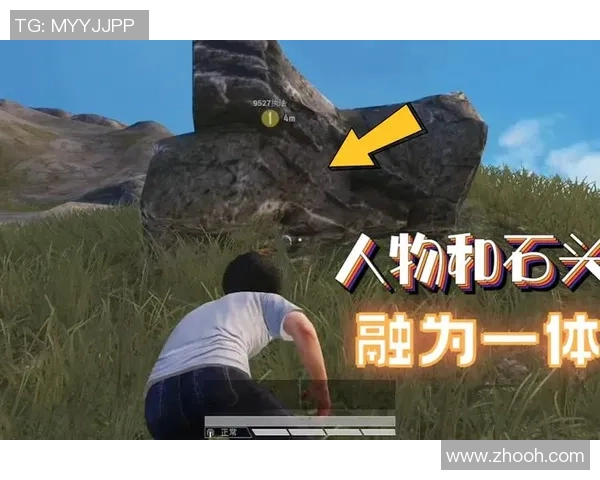 和平精英引发热议FPX技术争议背后的真相与影响分析